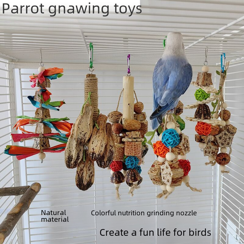 Parakeet Toy 10