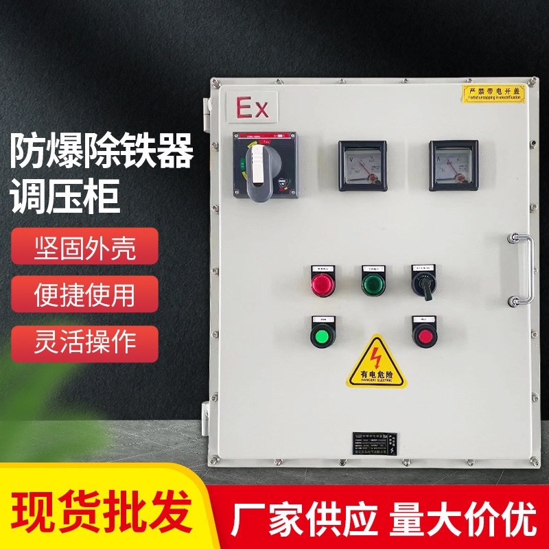 加厚防爆除铁器调压柜 一体成型起重机吸盘港口电磁吸盘设备现货