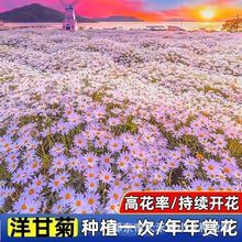 ʾջNСrշNױļ_׻ܷNӾջNl