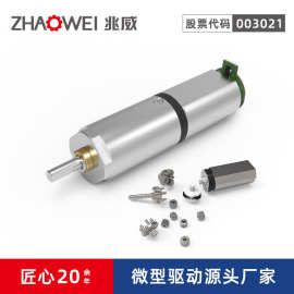 电梯门驱动系统2级齿轮箱19减速比蜗轮蜗杆组件长输出轴直流电机