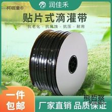 6NƬιrõˮĤµι܎߲˹ݮ΢̫