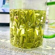 霍山黄芽新茶原产地春茶高山黄茶栗子香型茶叶袋装250g