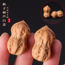 �������ӻ���С�������ͻ�����������������T��Ů�P������