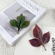 SֱN~zƬţ~~Gֲ쾰bGֲ