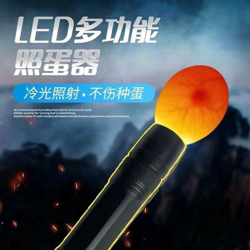 Яйцо-устройство инкубатор можно заряжать LED-фонарик маленький яичный осмотр машинка Руидиня скорость оплодотворения яйца, лампа для яйца оптом