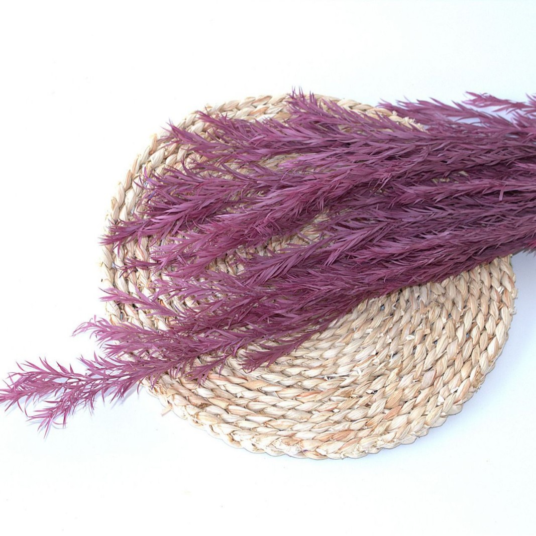 Púrpura de taro