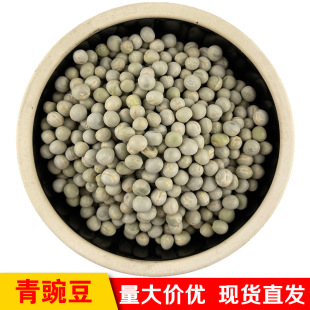 ���l���ô����㶹 ѿ��� �㶹��� �������㶹 ���Z����