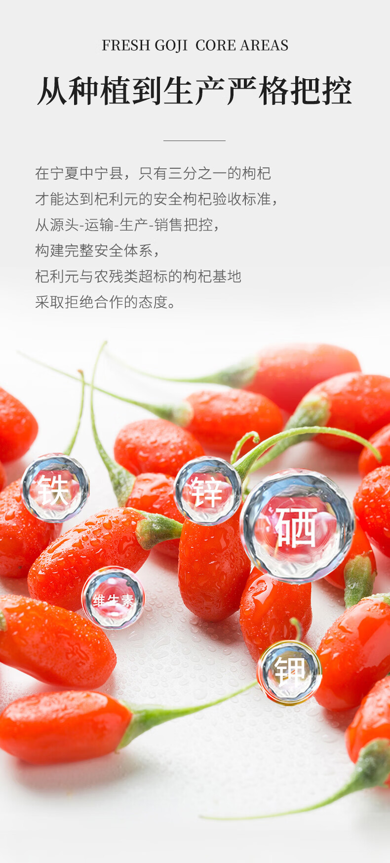 Freeze Dried Goji Berries Gou Qi Zi 100g Premium Ningxia Zhongning Large Fruit Ready to Eat specifications