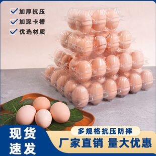 ����͸���u���ж�NҎ��һ���Է�������b�ЏS�ҳ���ֱ�N���l�Ӻ�