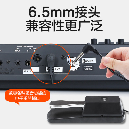 Sustain pedal Yamaha electronic keyboard Roland electric piano MIDI keyboard synthesizer instrument universal pedal
