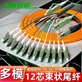 12-Core Bundle Pigtail Gigabit Multimode Fiber Jumper Bundle Pigtail 62.5/125 Small Square Mouth Fusion Bundle Tail