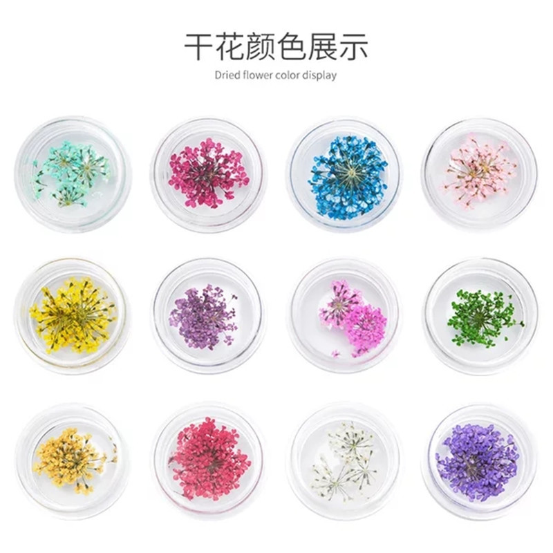 O1CN01GqelSq1MQyvC8Di8C_!!7429