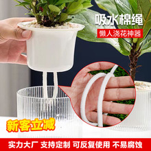 植物吸水绳养花用绿萝吸水绳白色包芯棉绳实心水培花盆自吸水棉绳