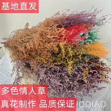 云南源头厂家批发永生情人草干花软装花材家居摆设