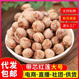 莲子;莲子类;其他药食同源