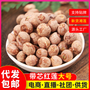 ���r�tɏ����ɏ���w����о�tɏ500g��оɏ�Ӹ�؛���rɏ�����l