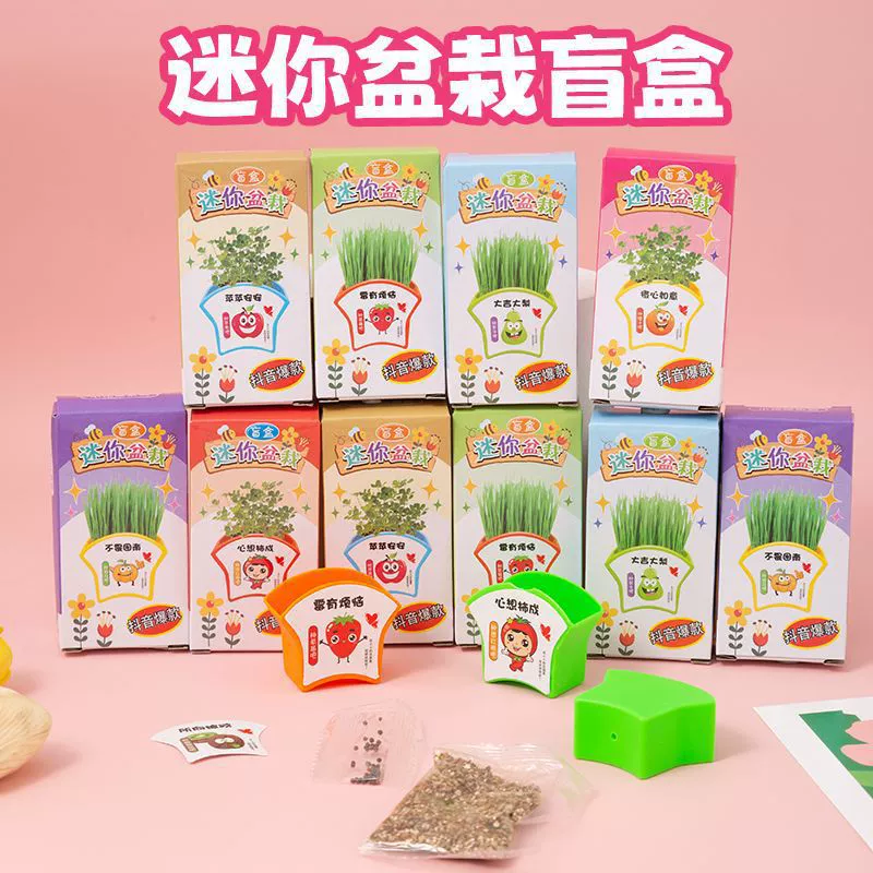 Цветочный и растительный экспресс-бокс в горшке, детский мини-садовый набор для самостоятельного посадки, подарок для студентов, домашнее задание, наблюдение за прорастанием семян