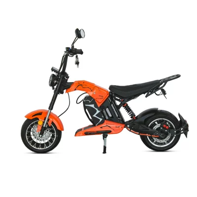 Warehouse Direct Delivery, Elektrikli motosikletlər