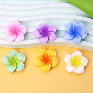 ��ɫ�u׃�u�������� DIY��֬����l�A�l�ˮ���N���bЬ��������l