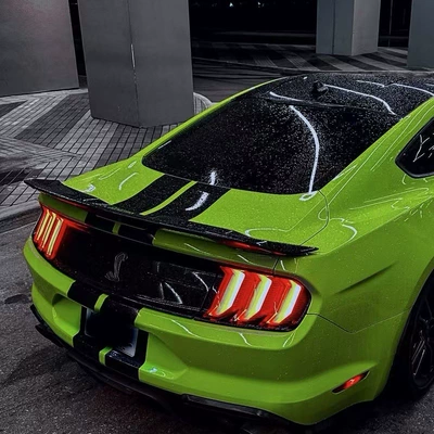 Mustang Mustang15-23 GT modified: Fixed wind wing
