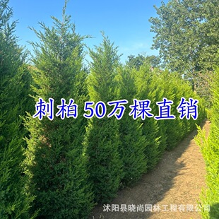 ������u���籱���u���u�������ش��ɾG����ľ�ļ�����Ĺ������u