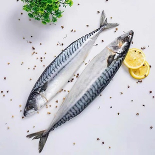 ����ռ�~�T�~�T�E�~���r���Ұ���໨�~���~����~���r���l�~