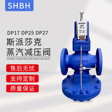 ˹��ɯ�˿�ʽ�ȵ�ĤƬ��ѹ��25P DP17�������߾��ȸ���������ѹ��