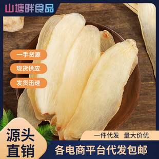 ���� ������ ��ș������ �����؛ ������Ƭ�������� �����