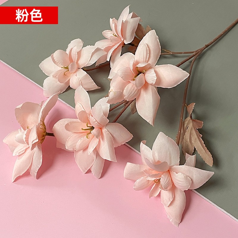 핑크 6등신 이브닝 룩