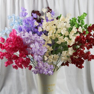 ���滨��c�¿�͏d��ͩ�����ٻ���ţ�����Ȼ���֦�廨���Ô[��