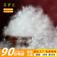 ��q�S��ֱ�N����90�����q���坍���q���b�Ҽ���о��������q