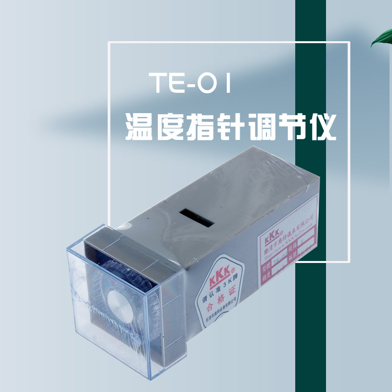 �������ָ��ʽ�¿ر�TE-01 E 0-300�¶ȿ�����48��С��