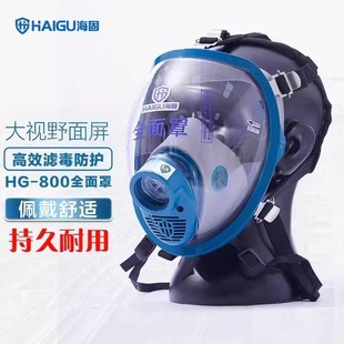 Haigu HG-800 Full-face Anti-virus Inorganic Gas Comprehensive Protection Foraldehyde Benzene Spray Paint Chemical Protective Mask