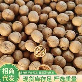 隆祥源手剥烤核桃 代发批发500g 奶香椒盐味炒制坚果薄皮核桃正品