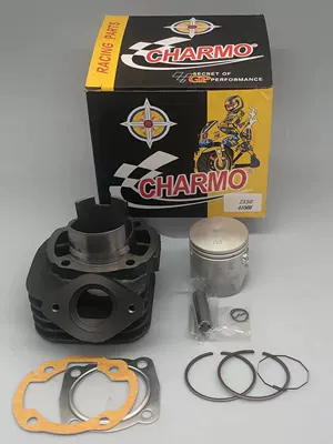 Cylinder and parts 48mm Cylinder Head