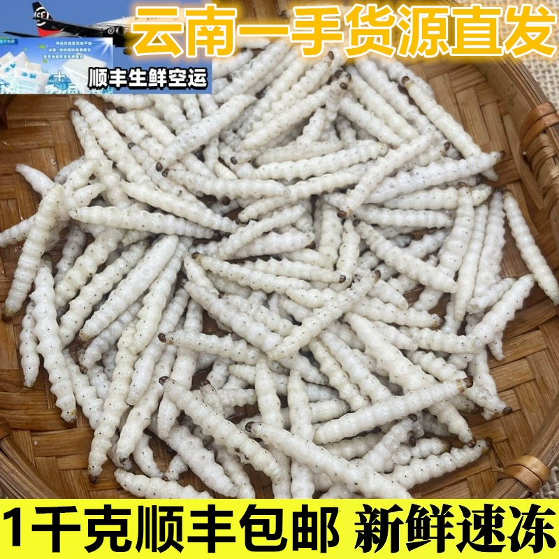 Юньнаньский фирменный дикий бамбук, насекомое, бамбуковая съемка, насекомое, свежее живое замороженное бамбуковое судак, бамбуковая насекомое, бамбуковая пчела, личинка SF, бесплатная доставка со льдом