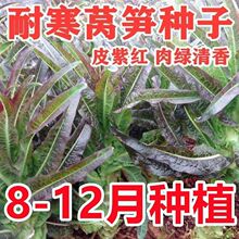 �߮a�ͺ��n�S�N���߲��ļ��N���ﶬ�ߜؼtƤ�G����~�r����S�tƤ