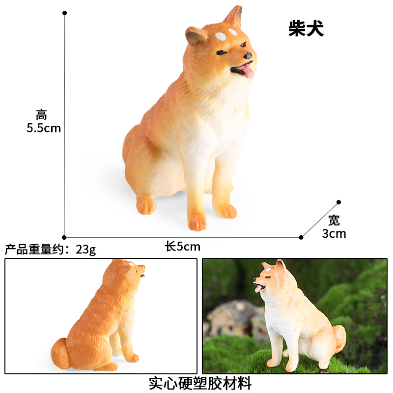 3590 웅크린 시바견