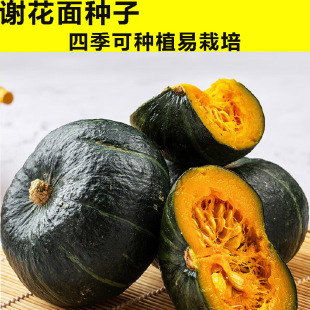 �x�����ϹϷN�ӵ��S�㻨�GƤ�C������������Ϲ����泬���ļ��߲�