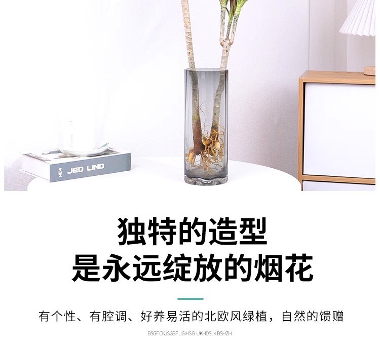 9cff90bd-9621-47b8-84f6-489420a377e0.jpe