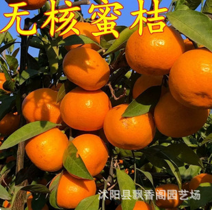 �o���۽��� �޽ӽ��Ә������Ә�������ϱ����Nֲ�������