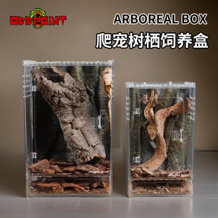 ���x�䗫��B�и�͸���������޽��،m����֩�����x���BɳĮ�쾰��