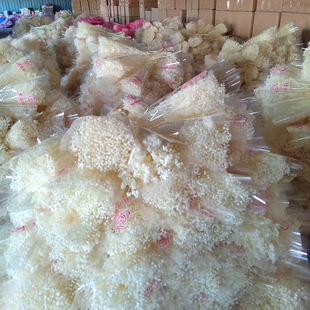 �����M���ǹ��Sֱ���M���Ǹɻ��ؔ��������Ļ����ɻ��������M����