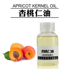  1KG Ӻ Apricot Kernel Oil ȻӺ͏S