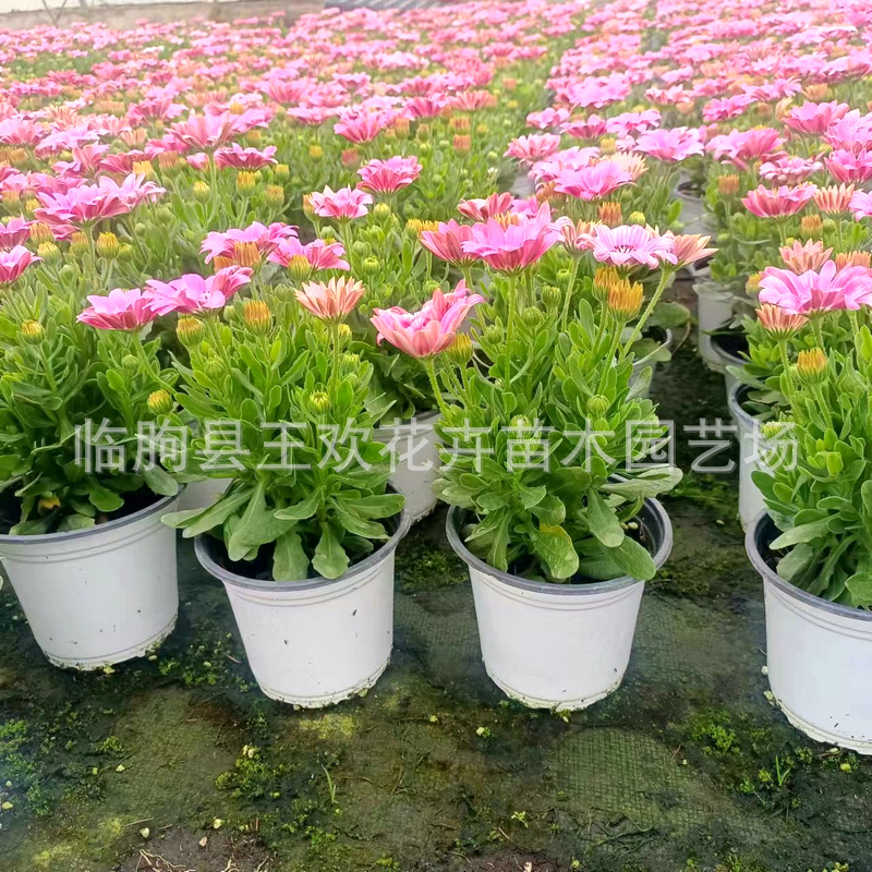 db08fa80-ccfd-4e8e-a923-4f3311