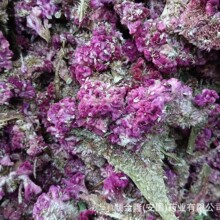 中草药 鸡冠花 安国厂家现货批发零售带合格证质检发票，量大优惠
