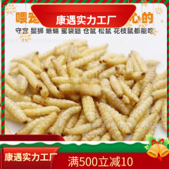 冷凍乾燥トウモロコシ虫乾燥ブドウ密虫蜂蜜虫乾燥高蛋白虫蜜袋守宮爬行ペット飼料