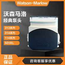 蠕动泵泵头沃森马洛Watson-Marlow 114D/501Rl/313系列泵头