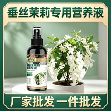 һ�����l���B���z����I�BҺ��ϡጷ��S�~�����ڸ���֦���L�_��