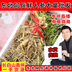 鲜人参批发吉林长白山抚松产地直供新鲜的人参带土人参供抖音直播